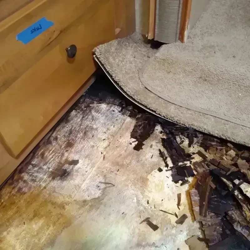 Wood Floor Water Damage in Lodi, WI